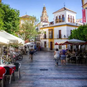  Apartamento La Casa De La Musica España